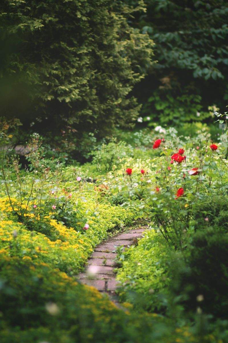 Créer un coin détente dans son jardin : idées simples et naturelles
