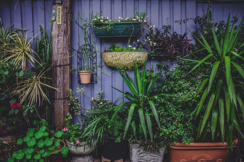 Élégance Jardin Services 4